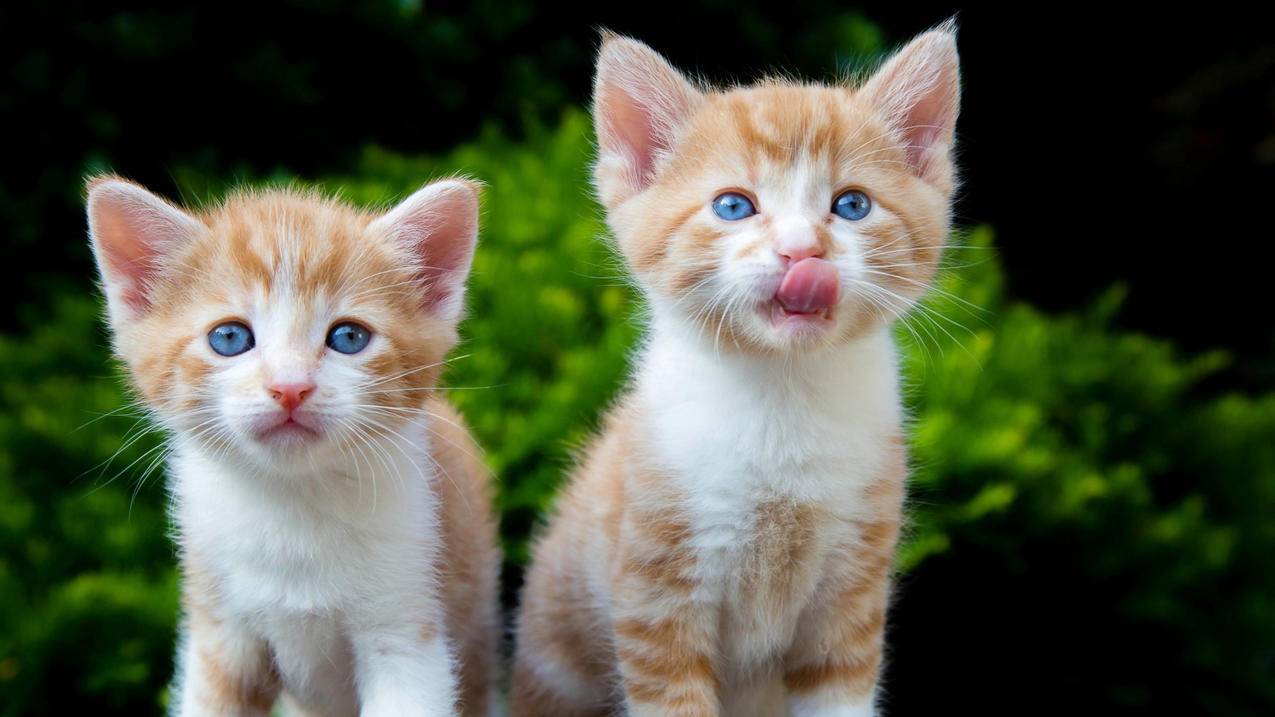 ins账号异常需要验证30天后_ins注册登录请求超时 - INS相关 - 55dz账号网