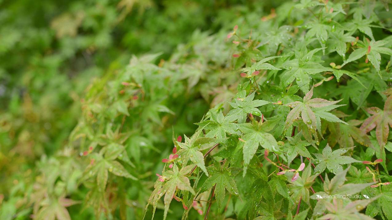 抖音业务24小时在线下单,DY业务平台低价自助平台-dy业务网