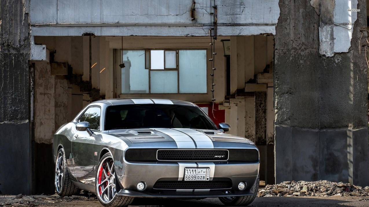 支付宝官方教学：教你如何降低苹果ID被盗刷损失 - Apple ID相关 - 55dz账号网