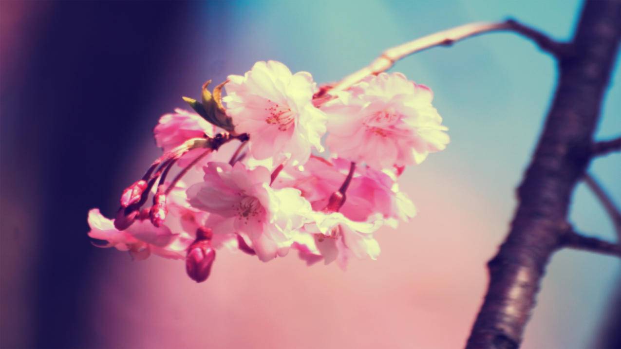 微信图片下载不了原图怎么回事_微信图片下载不了原图怎么办 - gmail相关 - 55dz账号网