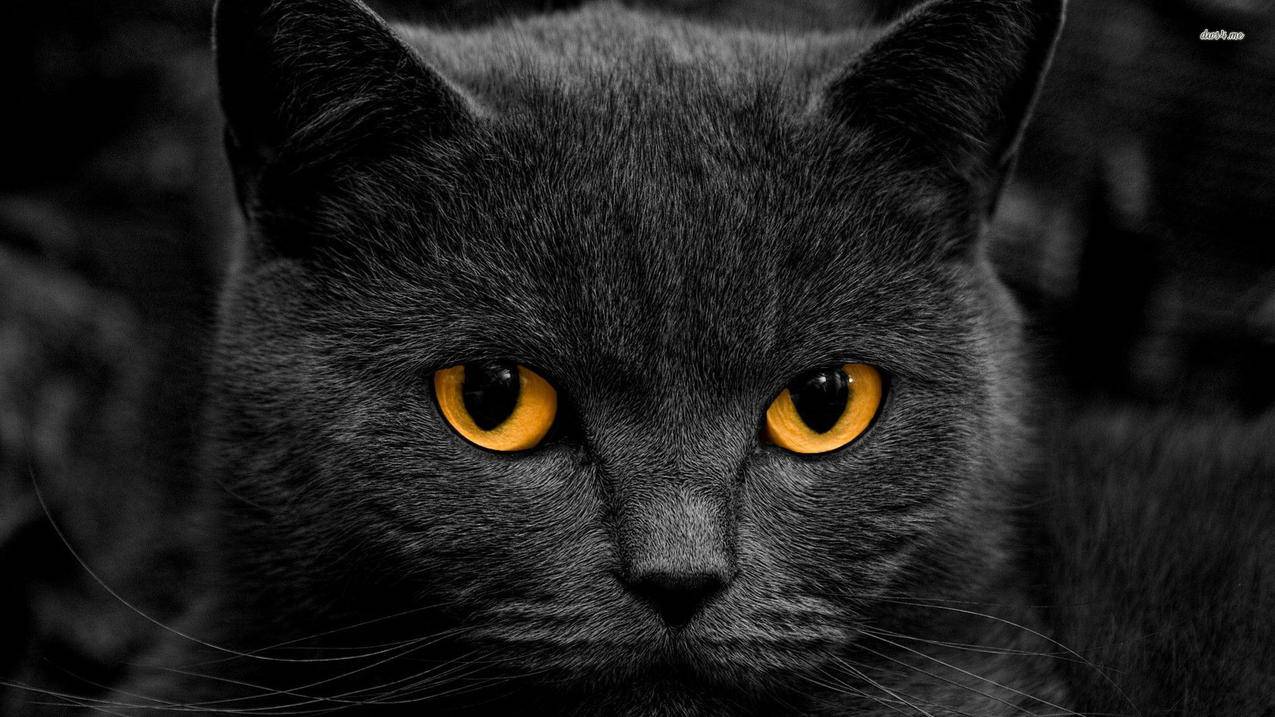 苹果ID密码是几位? ， 苹果手机id密码是什么格式  - 55dz账号网