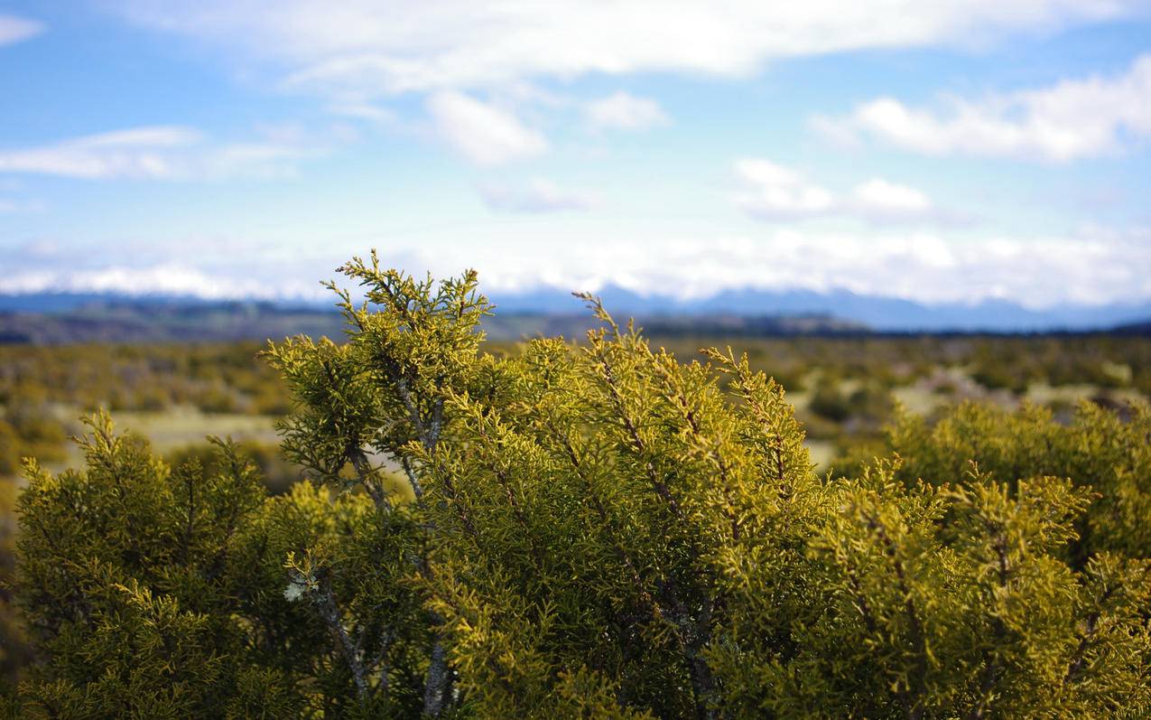 抖音童装直播说什么-dy业务网