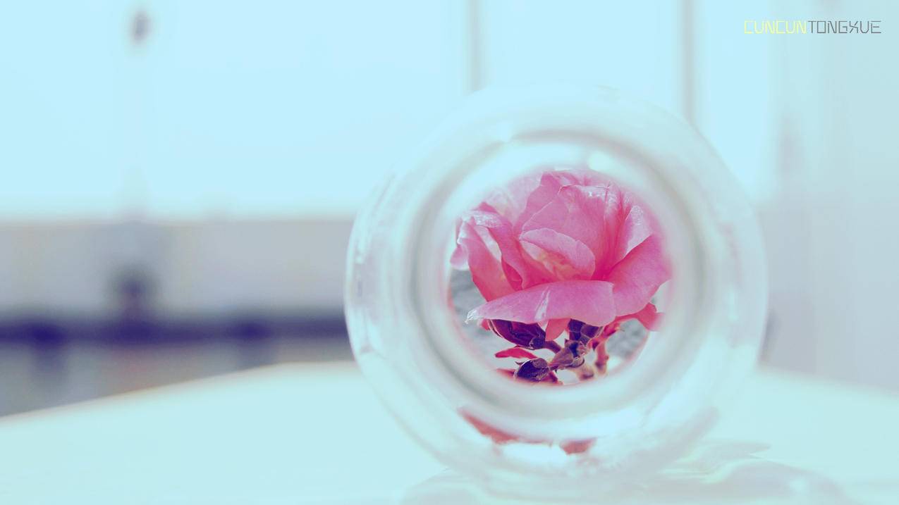 快手接单平台业务如何获取更多订单？-dy业务网