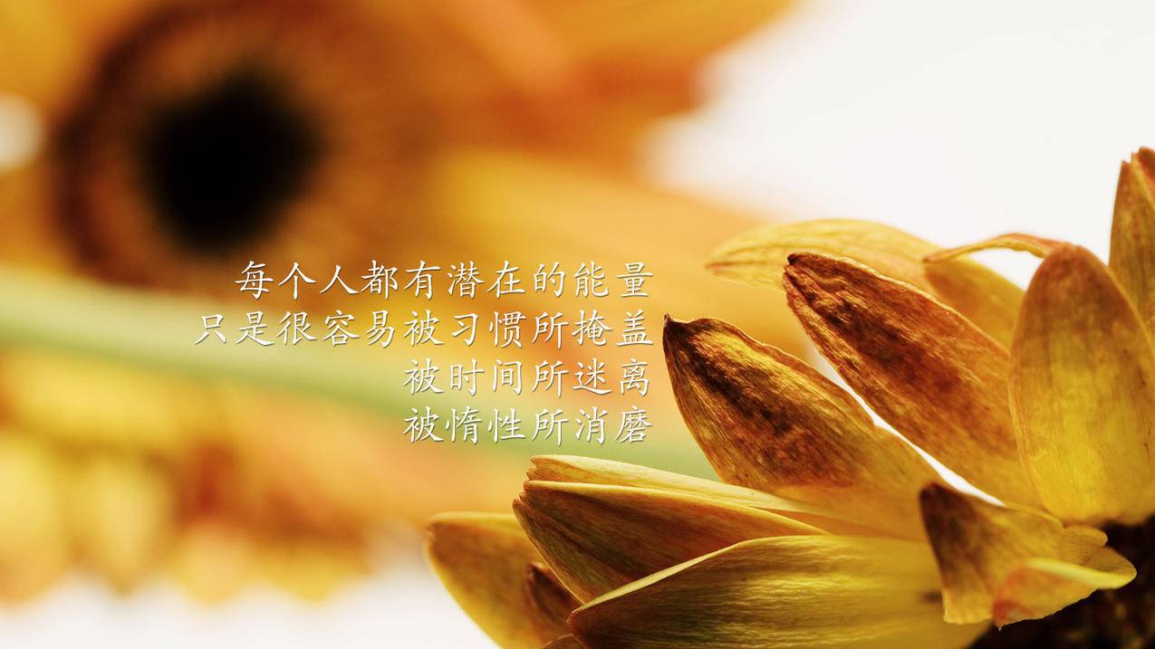 苹果绑定支付宝免密支付怎么解除 ， 苹果免密支付怎么关闭 苹果怎么关闭免密支付  - 55dz账号网