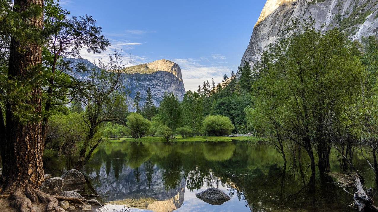 快手购买粉丝低价 - qq空间点赞免费网站平台,QQ代刷Q钻,qq刷赞人员qq