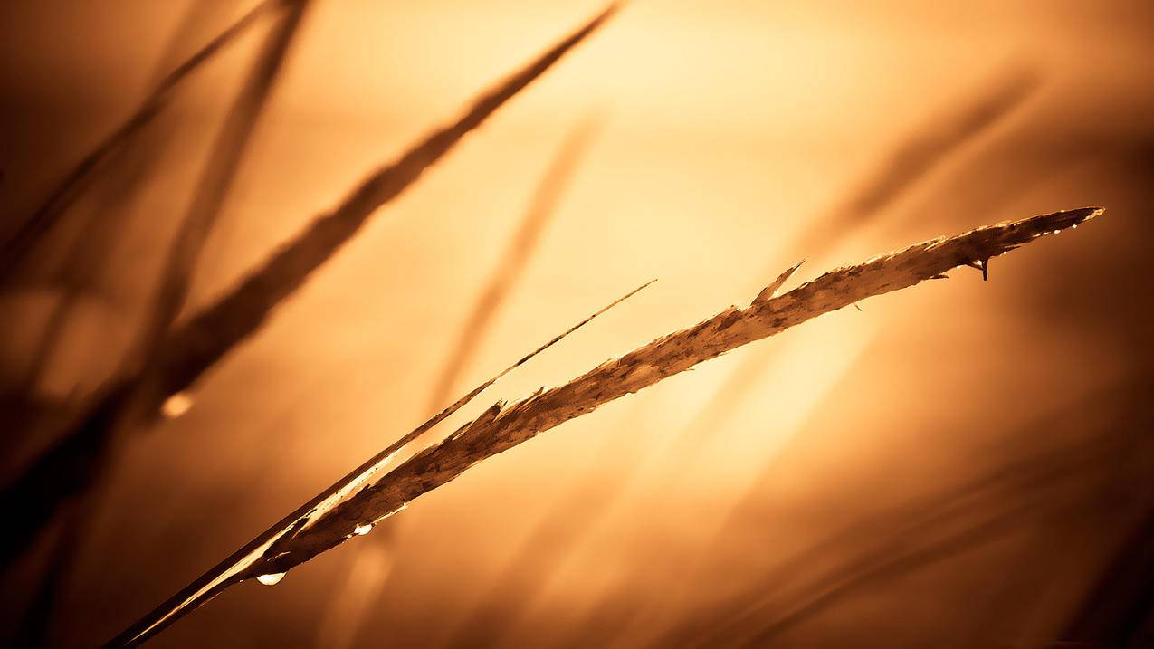 菲律宾苹果id解锁收不到验证码（菲律宾苹果id解锁收不到验证码怎么回事） - 各区苹果ID - 55dz账号网