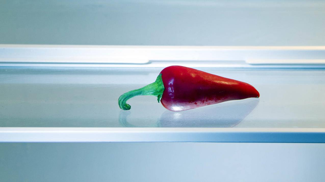 日本苹果id媒体与购买项目什么意思收费吗_日本苹果id商店有什么 - 日本苹果ID - 55dz账号网