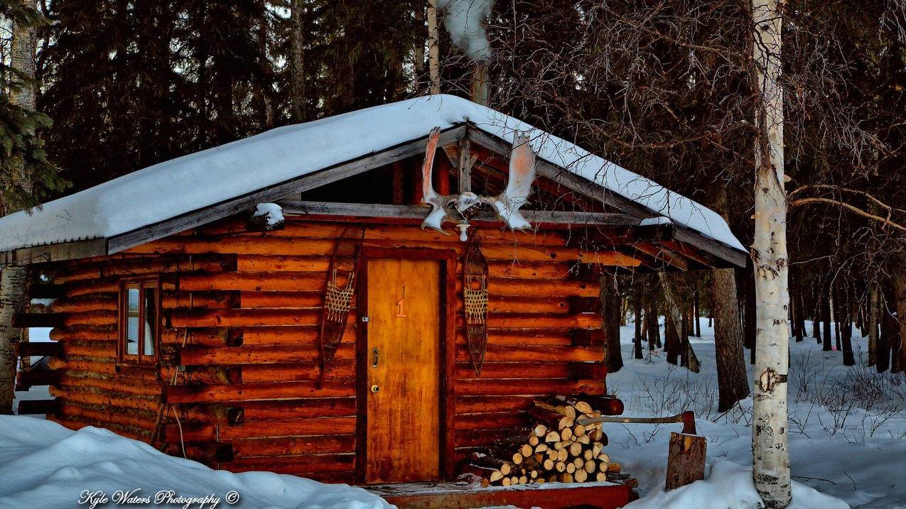 zoom云视频会议软件下载_zoom云视频会议安卓版下载 - zoom相关 - 55dz账号网