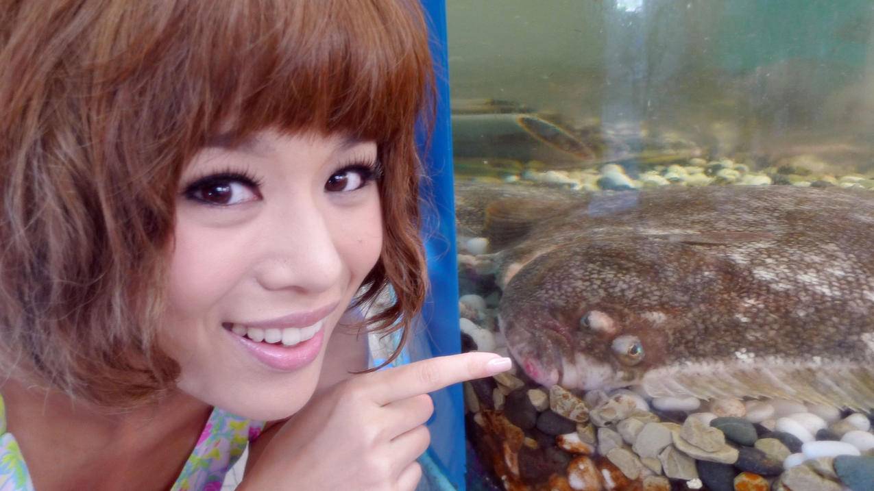 clash配置不了_clash配置不了安卓 - clash相关 - 55dz账号网