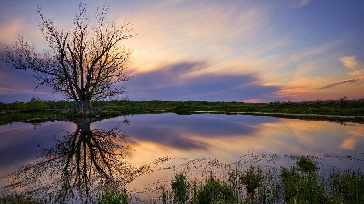 Shadowrocket免费账号的简单介绍 - 注册外服方法 - 55dz账号网
