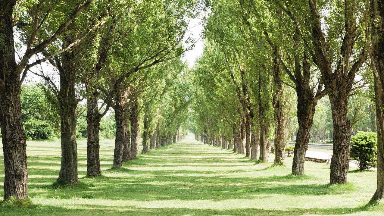 微信支付宝快手赞 - 说说点赞只显示人数,刷赞网页版,三十个字的伤感说说