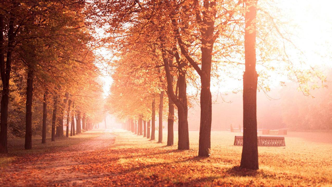 youtube为什么不支持设备_YouTube不支持 - youtube相关 - 55dz账号网