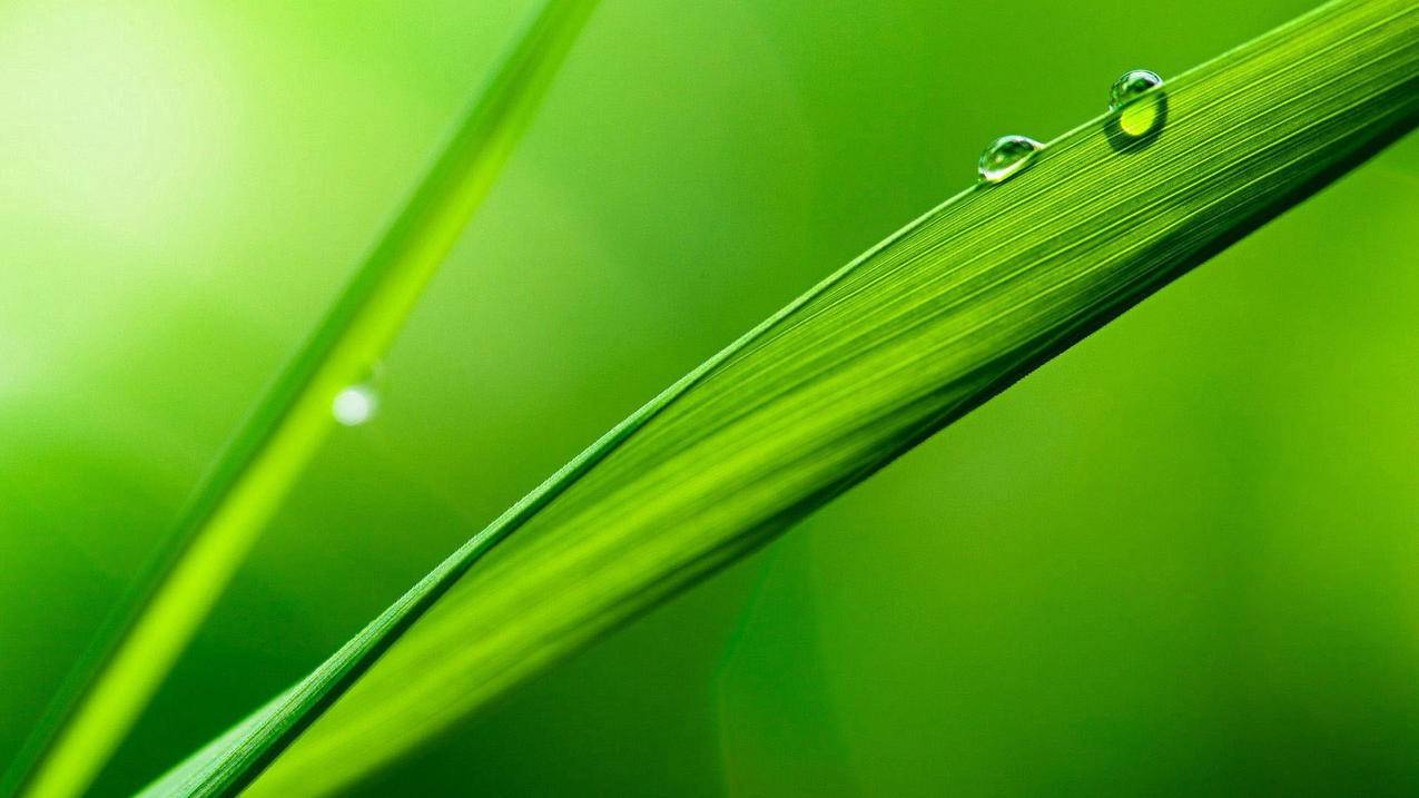 退出台湾appleid怎么清除照片_苹果手机退出id后怎么删除照片 - 台湾苹果ID - 55dz账号网