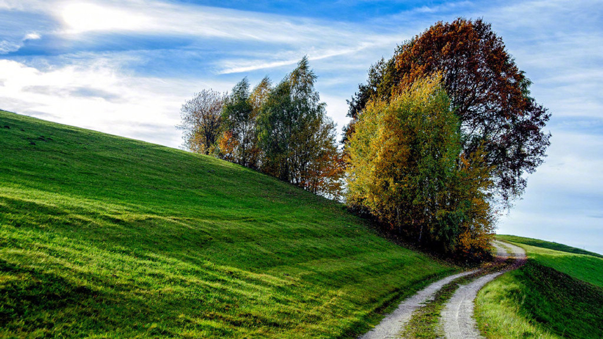 英语词根词缀字典_英语词典词根词缀 - messenger相关 - 55dz账号网