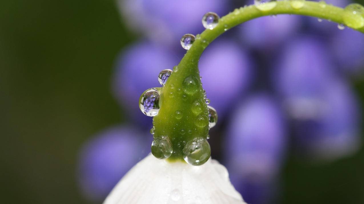 ps是干什么的软件_ps是用什么软件 - skype相关 - 55dz账号网