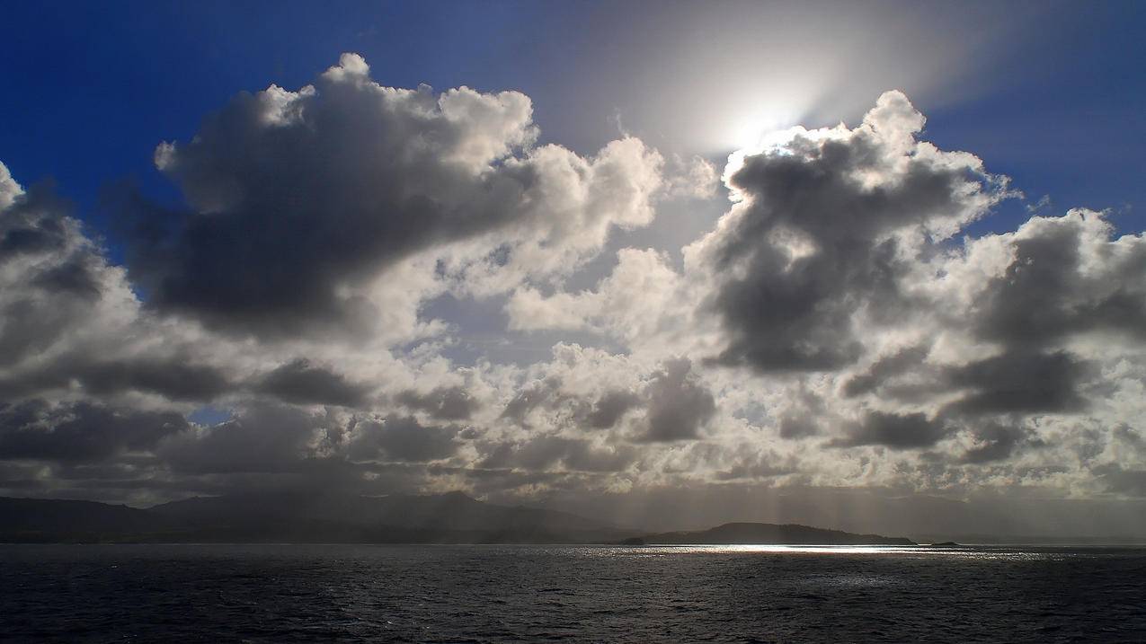 熊猫代刷网站推广链接-梓豪代刷平台,快手刷真粉网址,微博刷赞粉丝