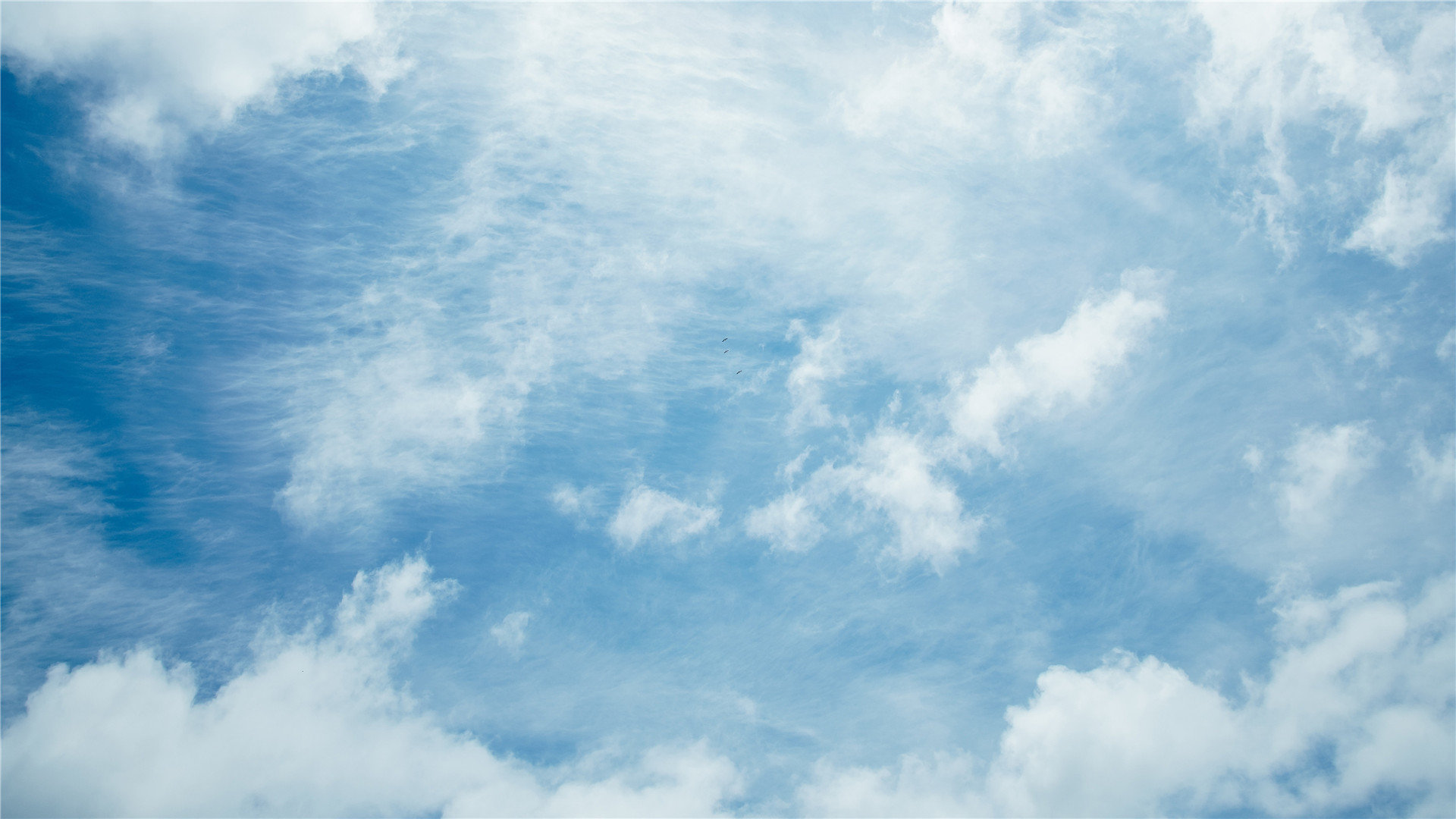 时光谱skype官网_时光谱公司与微软skype - skype相关 - 55dz账号网