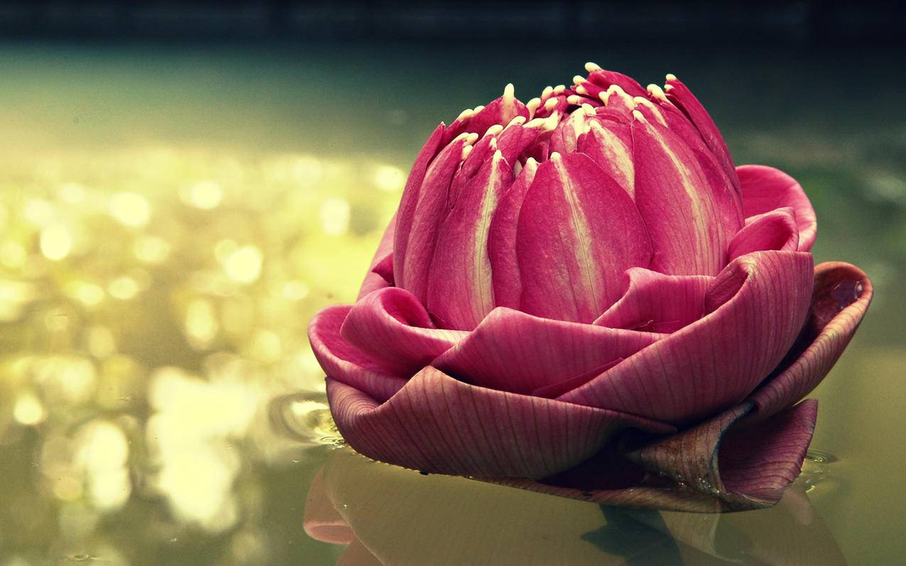 ins账户违反社区条例不能登录_ins不让登录 - INS相关 - 55dz账号网