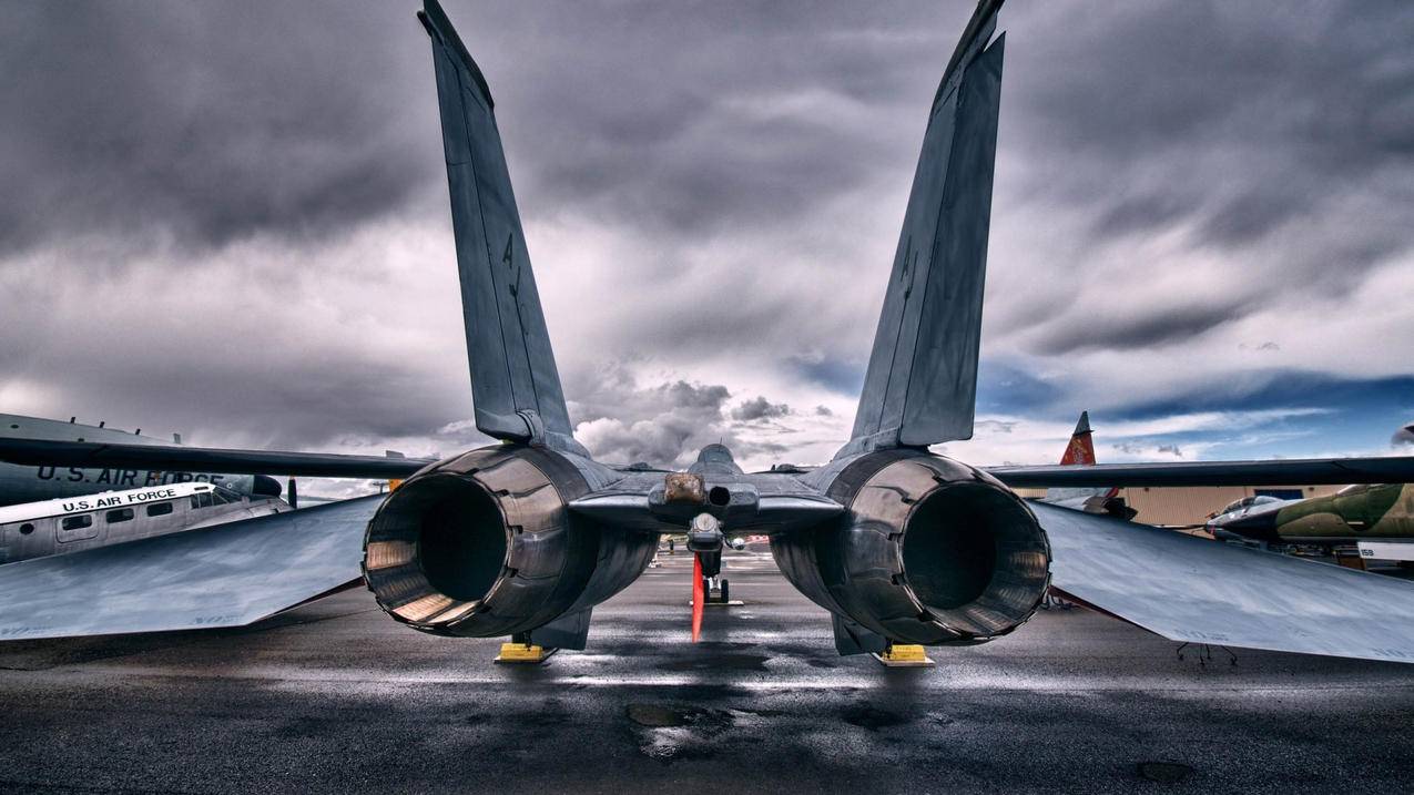 zoom多少钱一个月_ZOOM多少钱 - zoom相关 - 55dz账号网