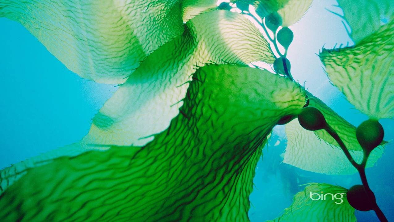 在线刷qq空间业务 - qq空间名片赞业务 - 低价下单平台 - ks业务网