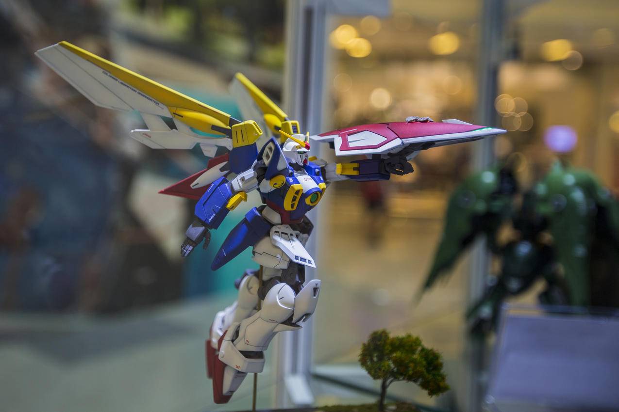 推特账号冻结多久自动注销_推特账号多长时间自动注销 - tw相关 - 55dz账号网