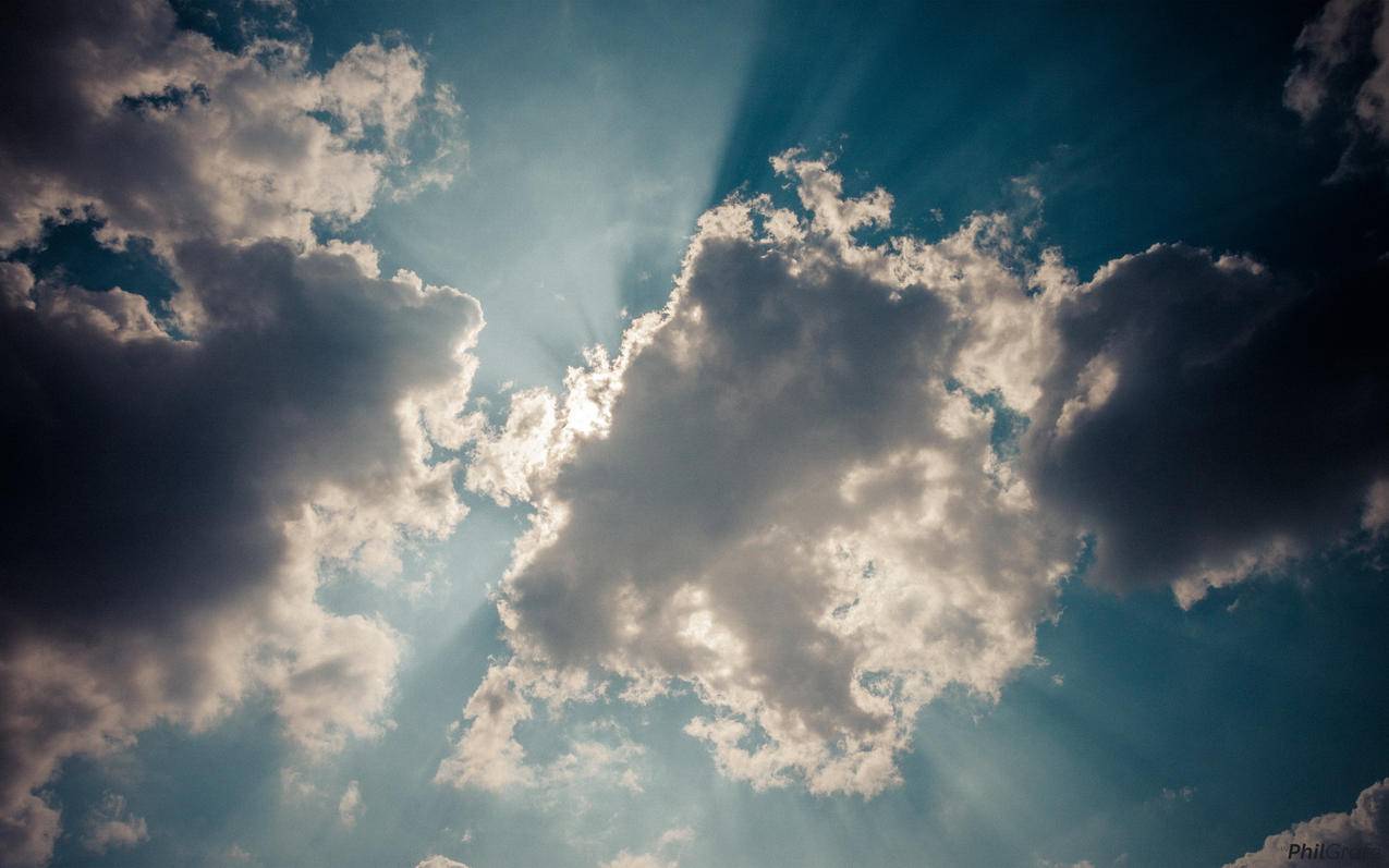 拼多多砍价怎么更换链接-dy业务网