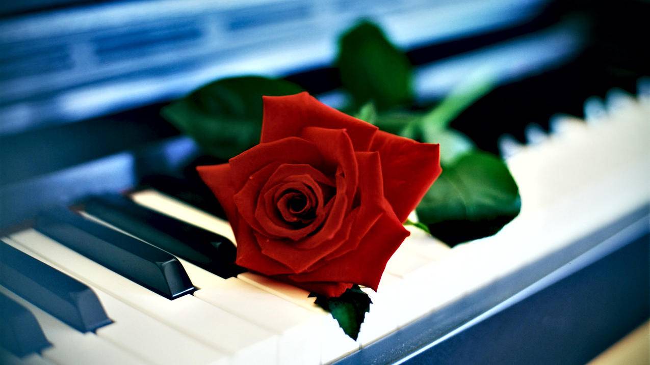 facebook一直显示错误无法处理_facebook发生未知错误 - facebook相关 - 55dz账号网