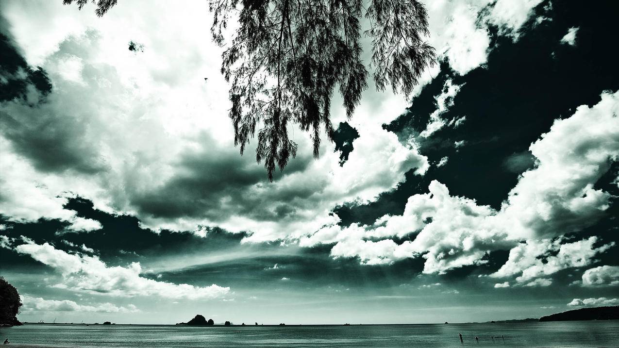 日本苹果id登陆了下载不了东西_日本苹果id无法下载 - 日本苹果ID - 55dz账号网