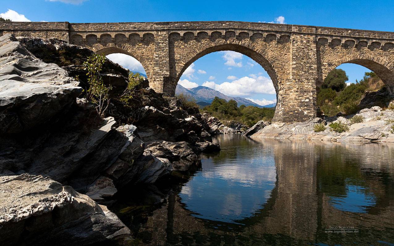 CelineClassic诞生时间_celine起源 - Line相关 - 55dz账号网