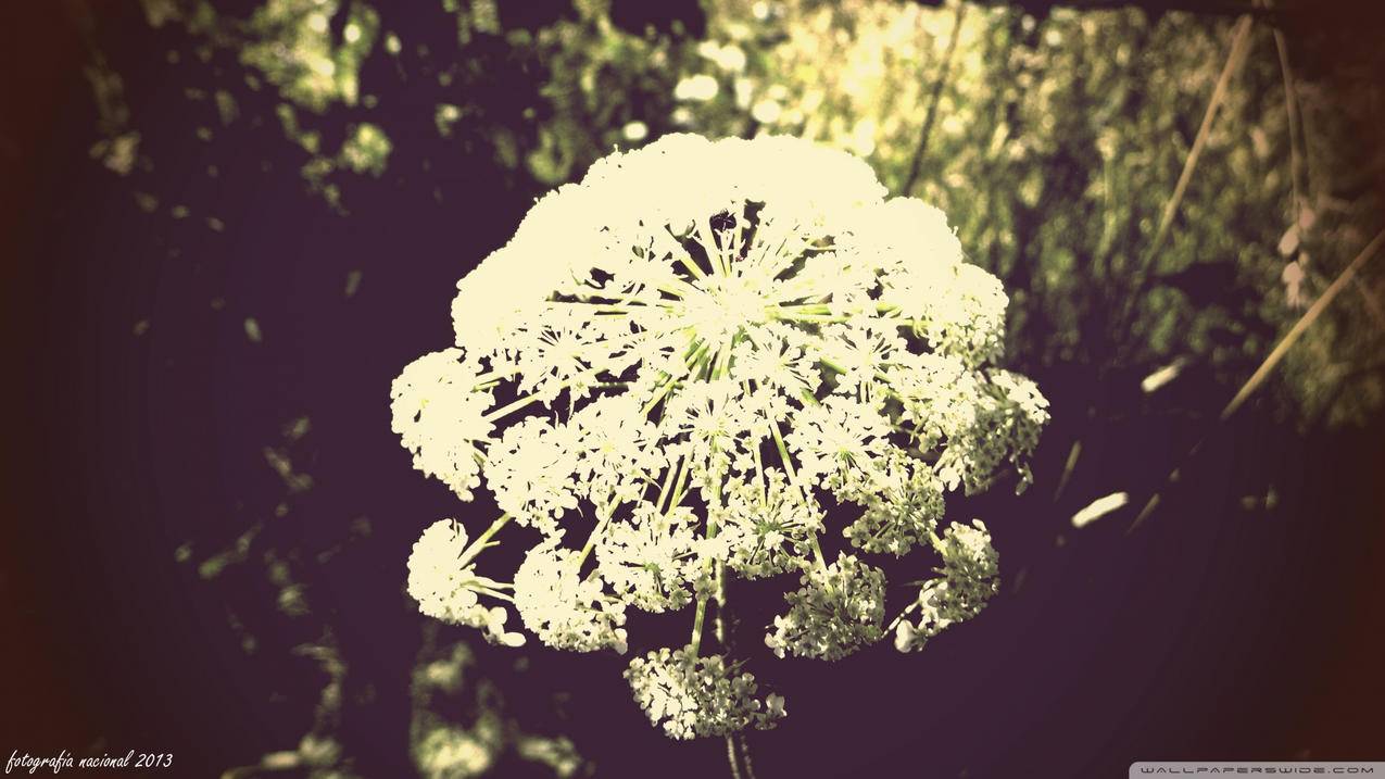 labview属性节点教程_labview属性节点 - 注册外服方法 - 55dz账号网