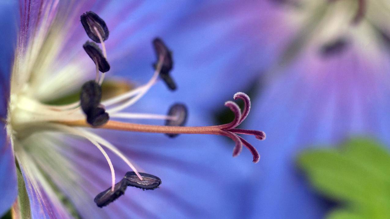 高中数学方法词典包含哪些内容和方法？ - 自助下单ks - ks24小时自助