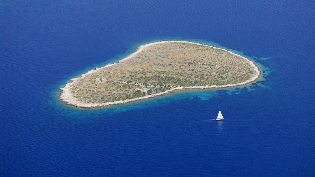 抖音自助赞平台24小时发货,都有什么业务？_低价业务网