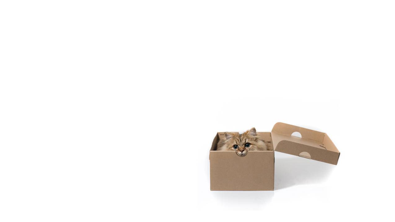 低价qq刷空间说说赞100个-qq免费刷赞平台墨言代刷网抖音,飞卢刷人气,空间免费刷人气