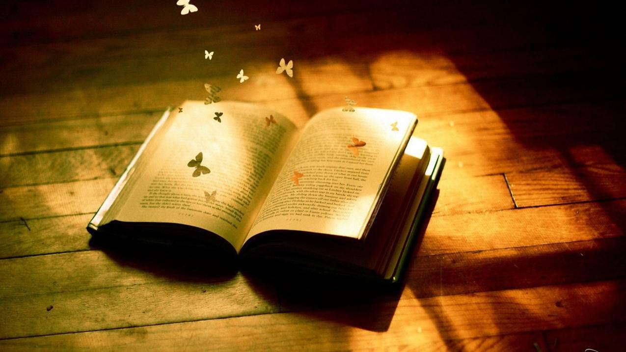 怎么在facebook找客户帮客户买东西_如何在facebook买东西 - facebook相关 - 55dz账号网