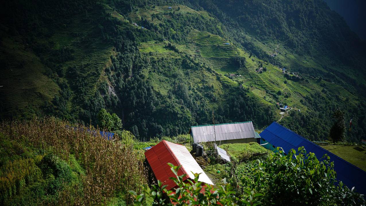 拼多多砍价了怎么玩-dy业务网