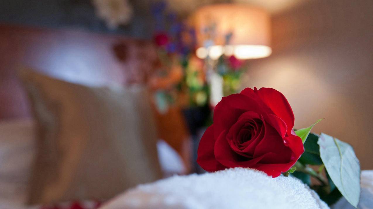 大王卡注册不了微信号_大王卡注册不了微信号怎么办 - 微信相关 - 55dz账号网