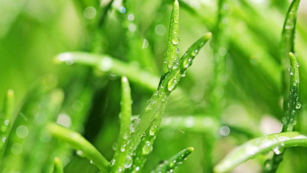 怎么注册qq邮箱在手机上_怎么注册邮箱在手机上操作 - gmail相关 - 55dz账号网