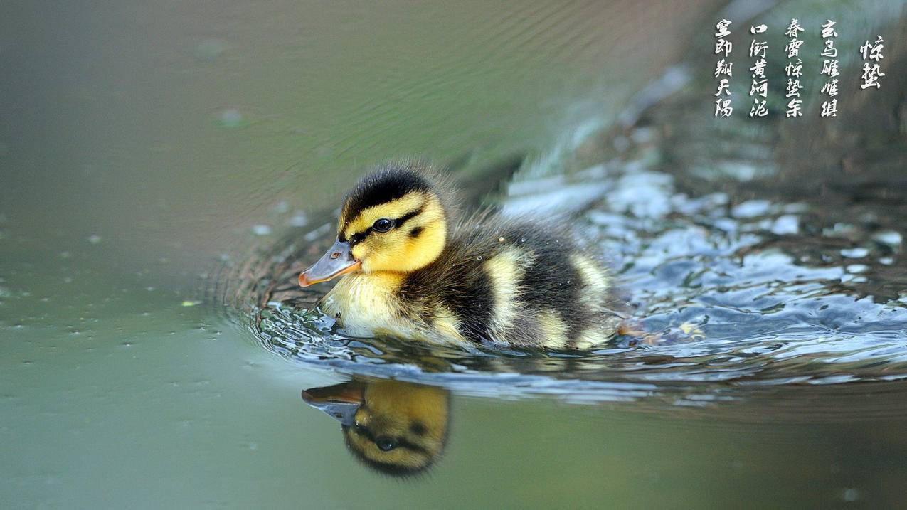 为什么在推特上发表评论频繁受限制?  ( 推特被屏蔽了是怎样的 ) - 55dz账号网