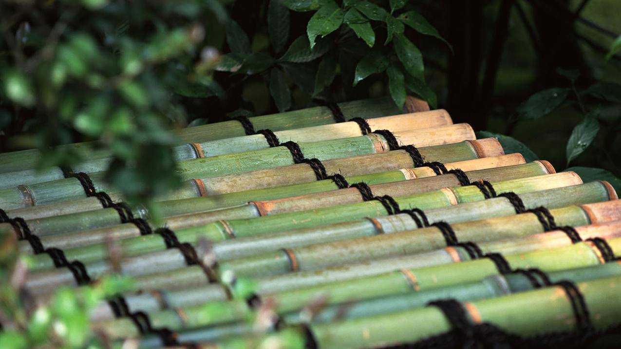 苹果怎样找回日本appleid密码_如何登陆日本苹果id - 日本苹果ID - 55dz账号网