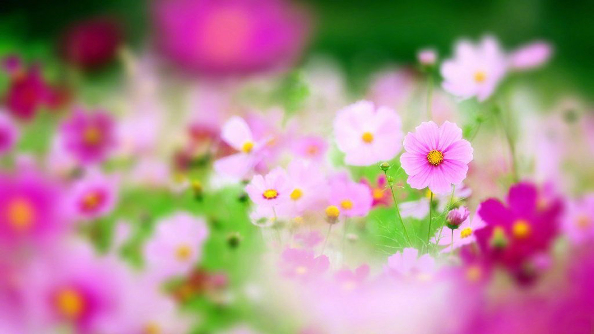 line句子_line的用法和短语例句 - Line相关 - 55dz账号网