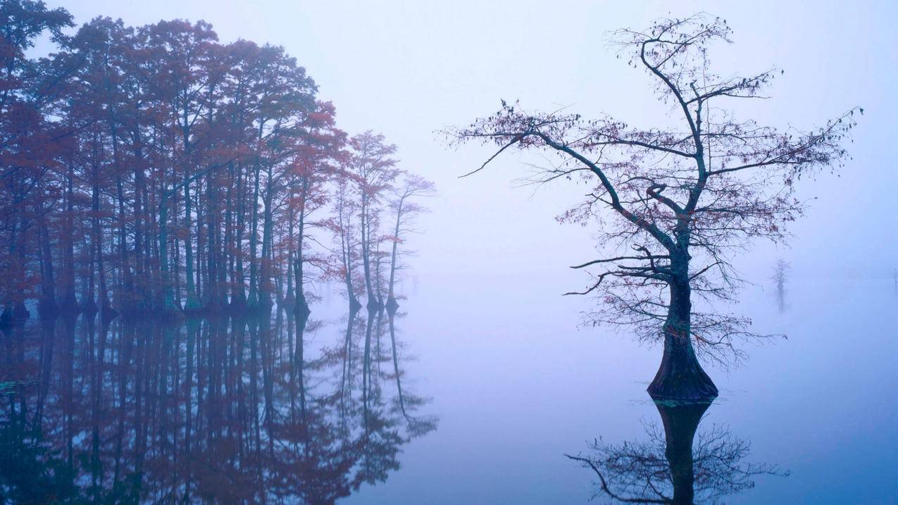 越南apple id退出登录是灰色的 ipad - 各区苹果ID - 55dz账号网