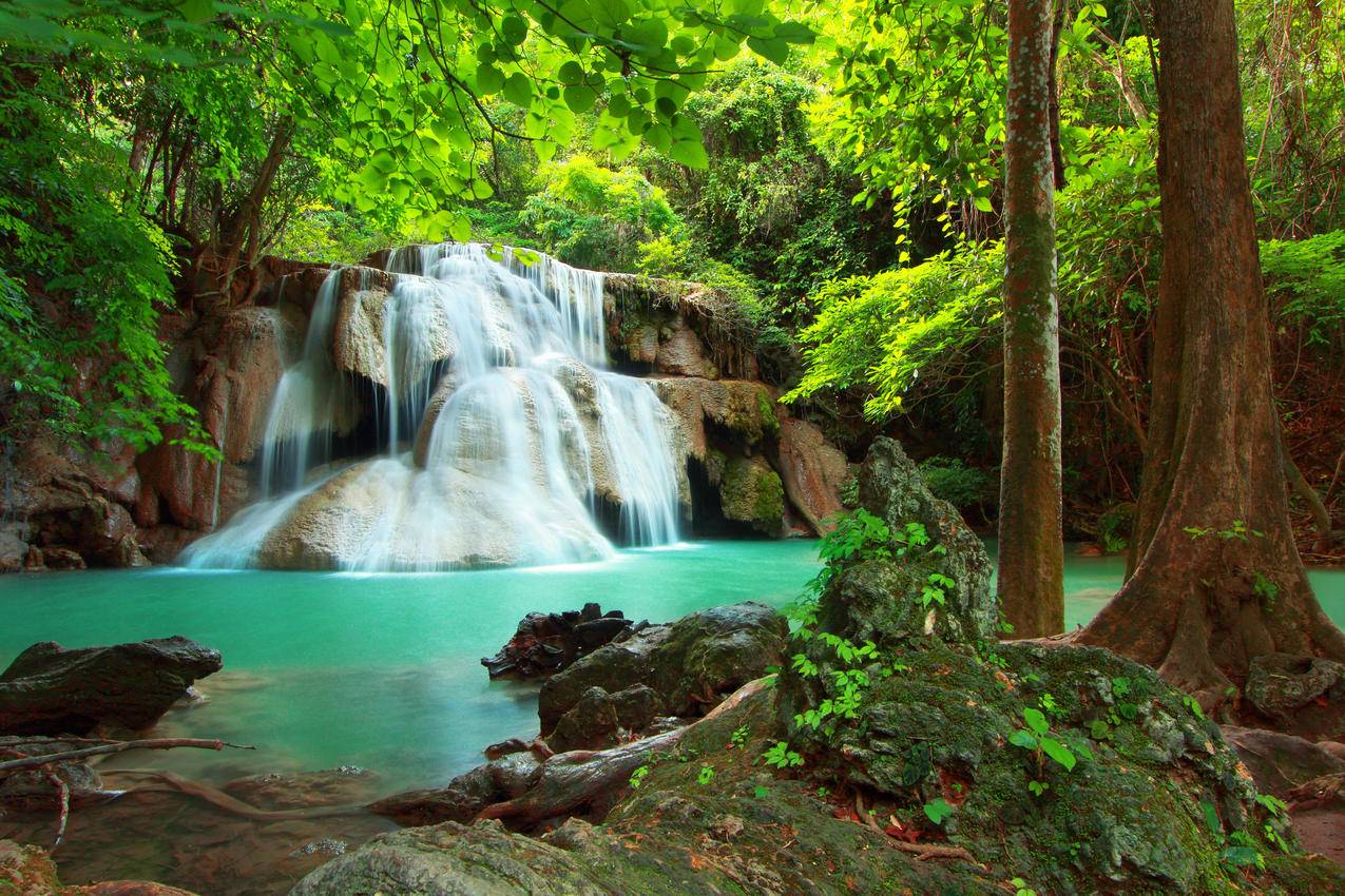 初中如何进入数学奥赛班？ - 初中教育 - ks24小时自助