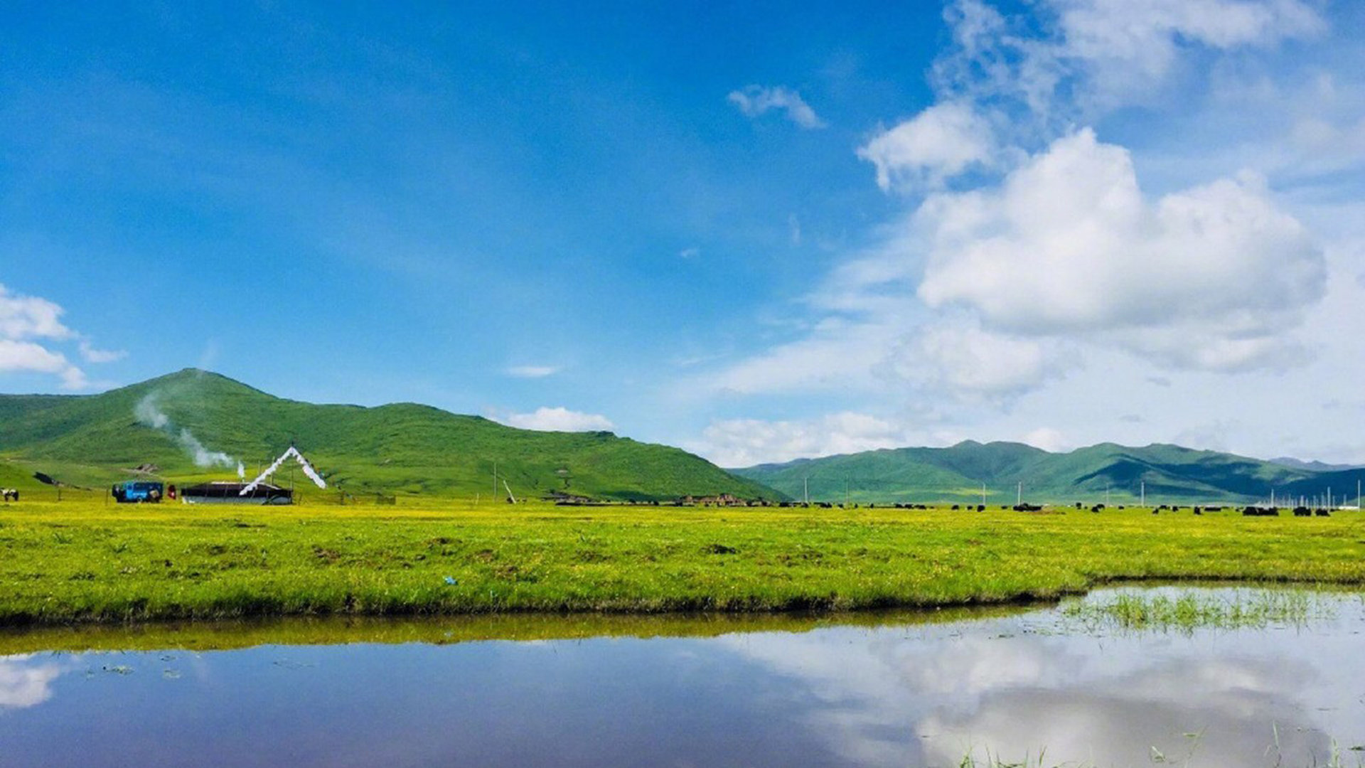 苹果手机登录了别人的id然后被锁定了怎么办? ， 苹果手机id锁住了怎么解开  - 55dz账号网