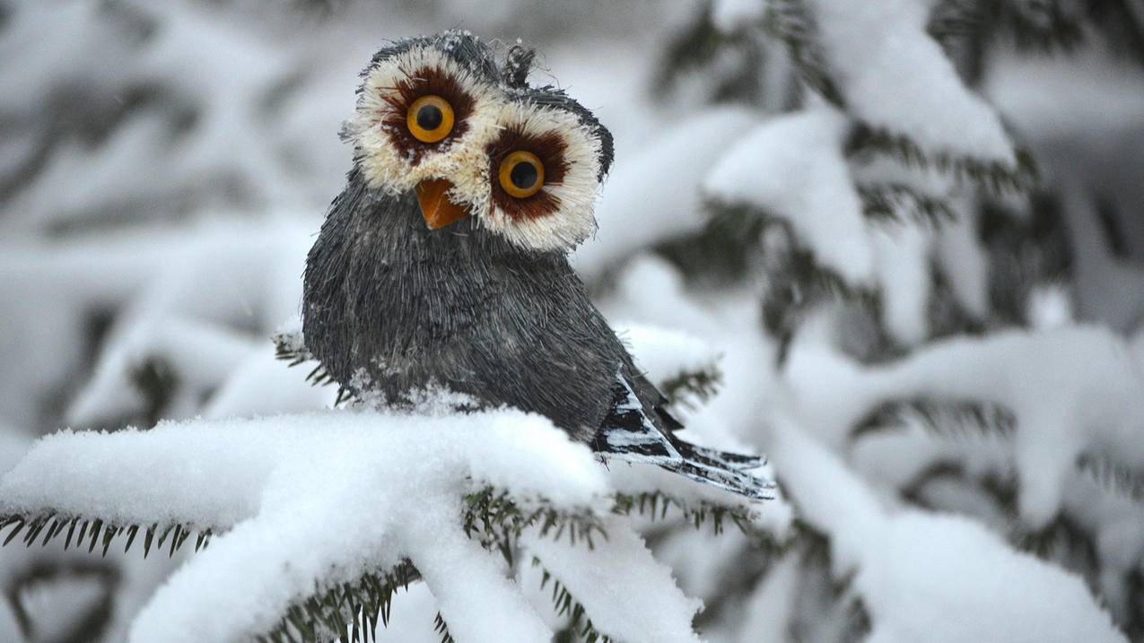苹果id账号由什么组成_苹果的id账号一般是什么形式 - 美国苹果ID - 55dz账号网