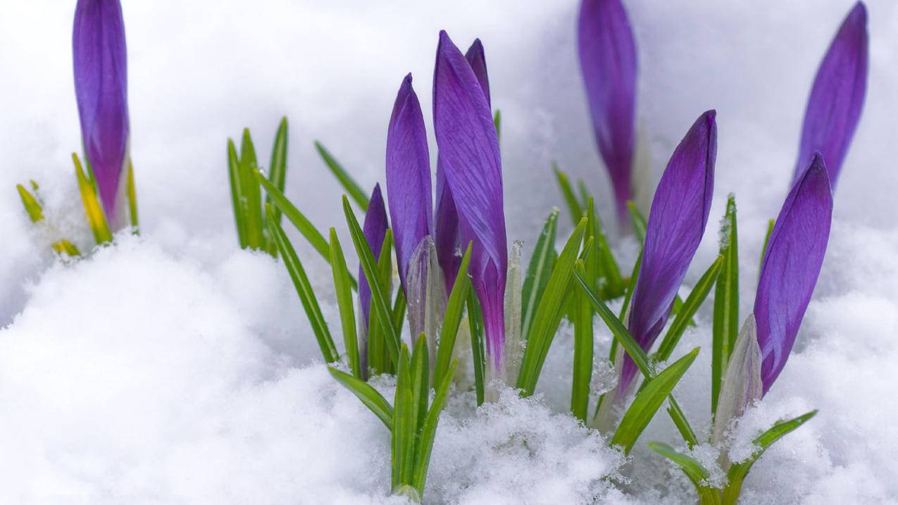 vip代刷网站-全网最低价刷双击,抖音100元才200个赞,刷空间人气网站墨言代刷网快手,自助qq下单平台