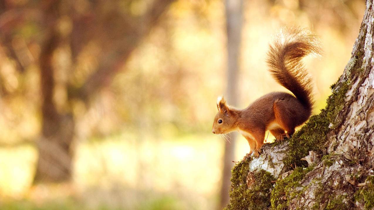 初中数学课堂如何有效评课？ - 初中教育 - ks24小时自助