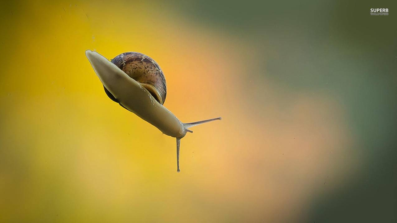 为什么注册谷歌账号收不到短信验证码?  ( 谷歌通知栏2位数验证收不到 ) - 55dz账号网