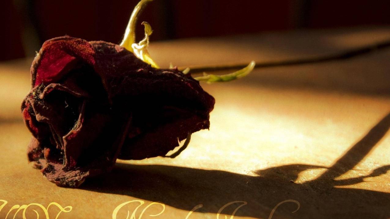 初中数学如何上好种子课，初中数学种子课该如何上才能取得最佳效果？ - 初中教育 - ks24小时自助