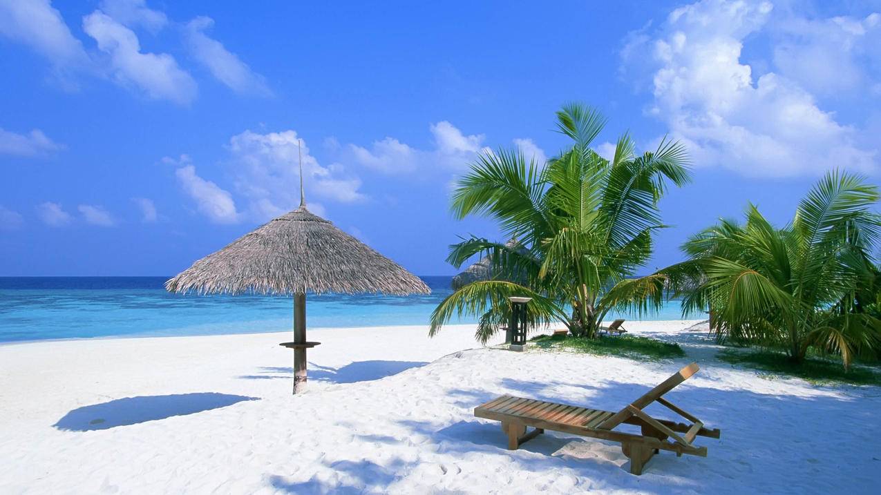 小红书如何有视频收益啊 - 网络资讯 - ks业务下单