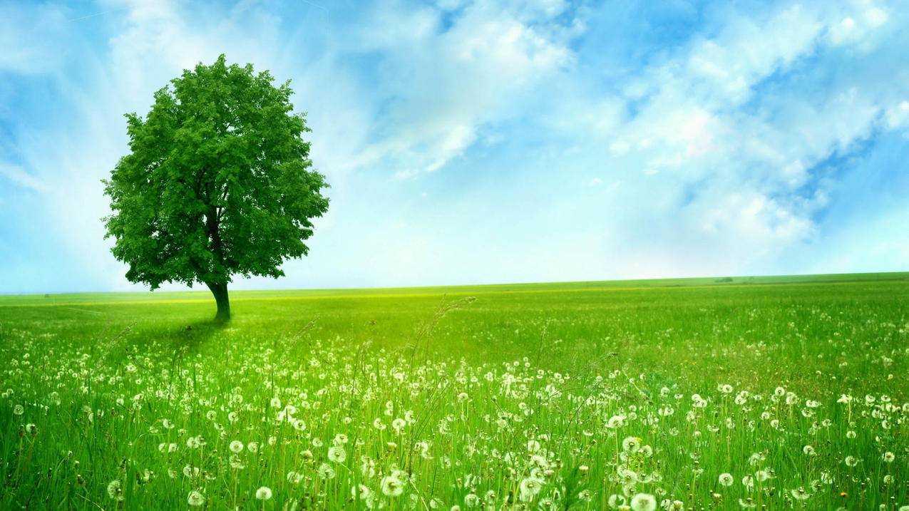 美服苹果id被锁定如何解锁,邮箱收不到邮件_苹果id邮箱接收不到邮件怎么解锁 - 美国苹果ID - 55dz账号网